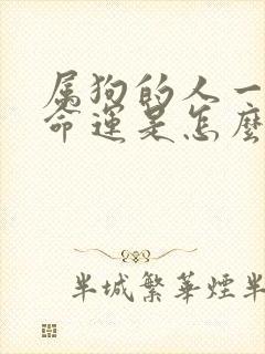 属狗的人一生的命运是怎么样的封面