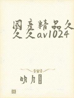 国产精品久久久久久av1024