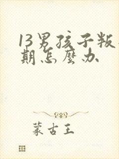 13男孩子叛逆期怎么办