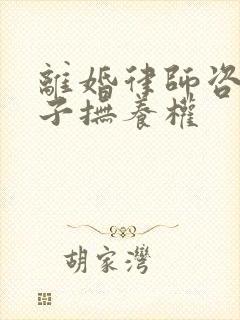 离婚律师咨询孩子抚养权