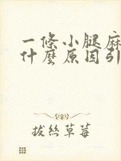 一条小腿麻木是什么原因引起的