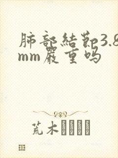 肺部结节3.8mm严重吗