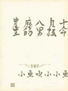 农历八月十九出生的男孩命运封面