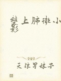 双上肺微小结节影