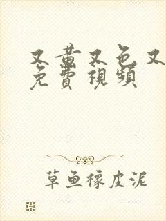 又黄又色又爽又免费视频