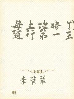 母上攻略 竹影随行第一主板