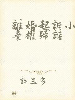 离婚起诉小孩抚养权归谁