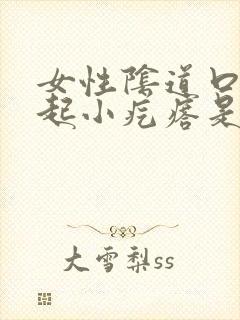 女性阴道口外面起小疙瘩是怎么回事