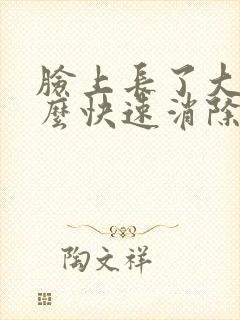 脸上长了大痘怎么快速消除