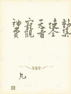 神宠天使动漫免费观看全集