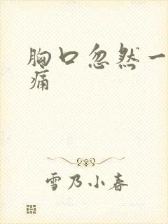 胸口忽然一阵刺痛