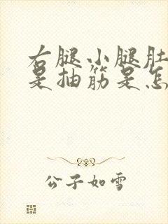 右腿小腿肚子老是抽筋是怎么回事