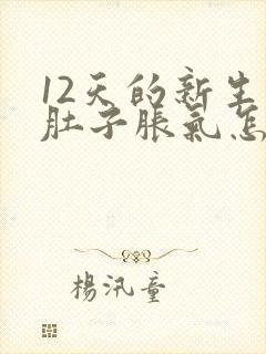 12天的新生儿肚子胀气怎么办呢封面