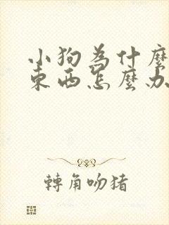 小狗为什么不吃东西怎么办封面