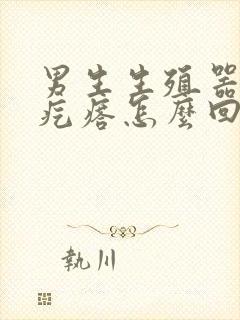 男生生殖器上长疙瘩怎么回事