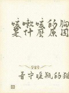 咳嗽咳的胸口痛是什么原因封面