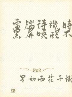 电脑待机时间长黑屏唤醒不了