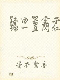 路由器盒子光信号一直闪红灯