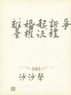 离婚起诉争夺抚养权流程