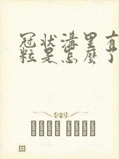 冠状沟里有小肉粒是怎么了封面