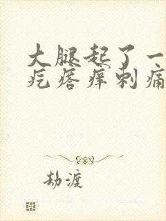 大腿起了一片红疙瘩痒刺痛