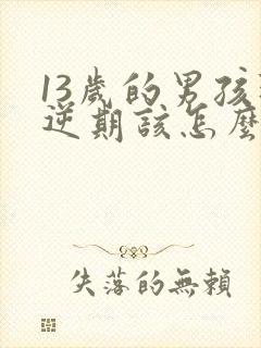 13岁的男孩叛逆期该怎么办封面