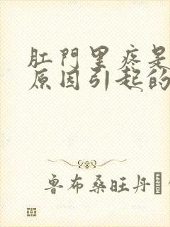 肛门里疼是什么原因引起的