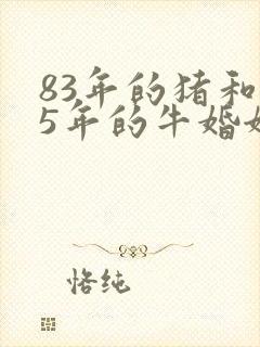 83年的猪和85年的牛婚姻怎样封面