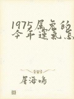 1975属兔的今年运气怎样