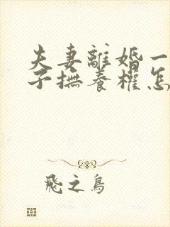 夫妻离婚一岁孩子抚养权怎么判定