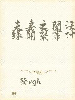 夫妻之间没有血缘关系靠什么维持感情封面