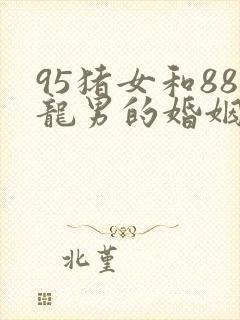 95猪女和88龙男的婚姻怎么样