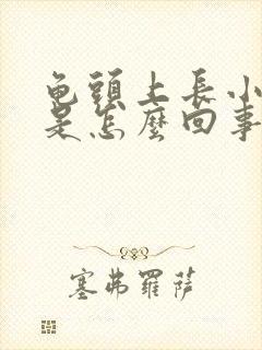 龟头上长小疙瘩是怎么回事