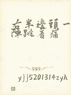 右半边头一阵一阵跳着痛封面
