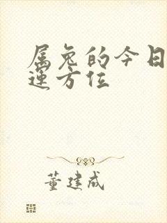 属兔的今日偏财运方位