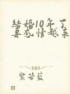 结婚10年了夫妻感情越来越淡了