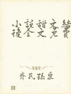 小说甜文结局以后全文免费阅读