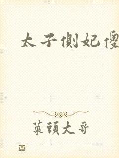 太子侧妃傻乎乎