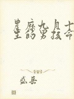 农历九月十六出生的男孩命运