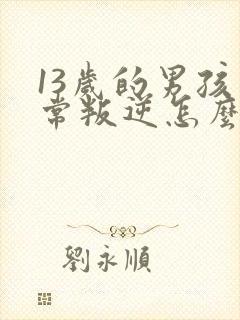 13岁的男孩非常叛逆怎么办封面