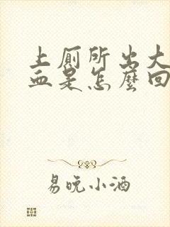 上厕所出大量的血是怎么回事封面