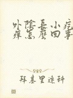 外阴长小疙瘩还痒怎么回事