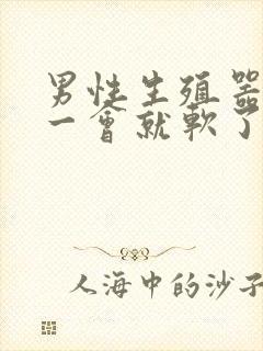 男性生殖器勃起一会就软了