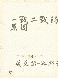 一战二战的根本原因封面