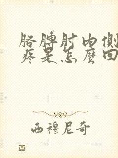 胳膊肘内侧突然疼是怎么回事