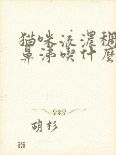 猫咪流浓稠的黄鼻涕吃什么药