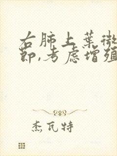 右肺上叶微小结节,考虑增殖灶怎么治