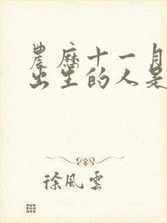 农历十一月十一出生的人是什么命封面