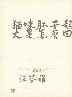 猫咪肚子起伏很大是怎么回事