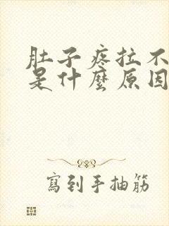 肚子疼拉不出屎是什么原因